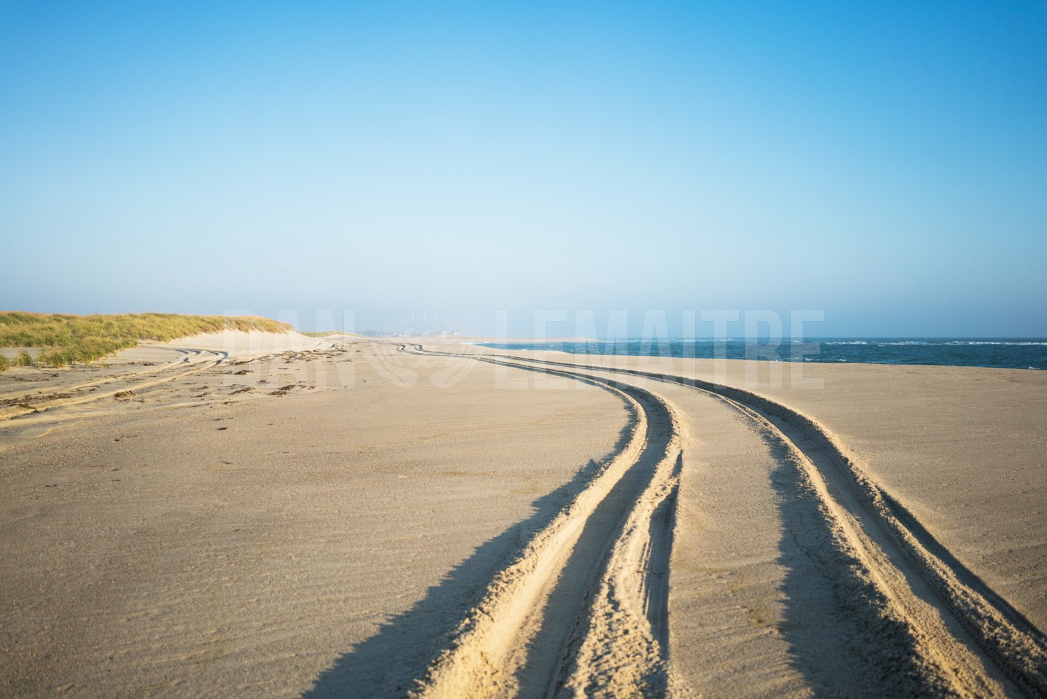 Tracks.jpg