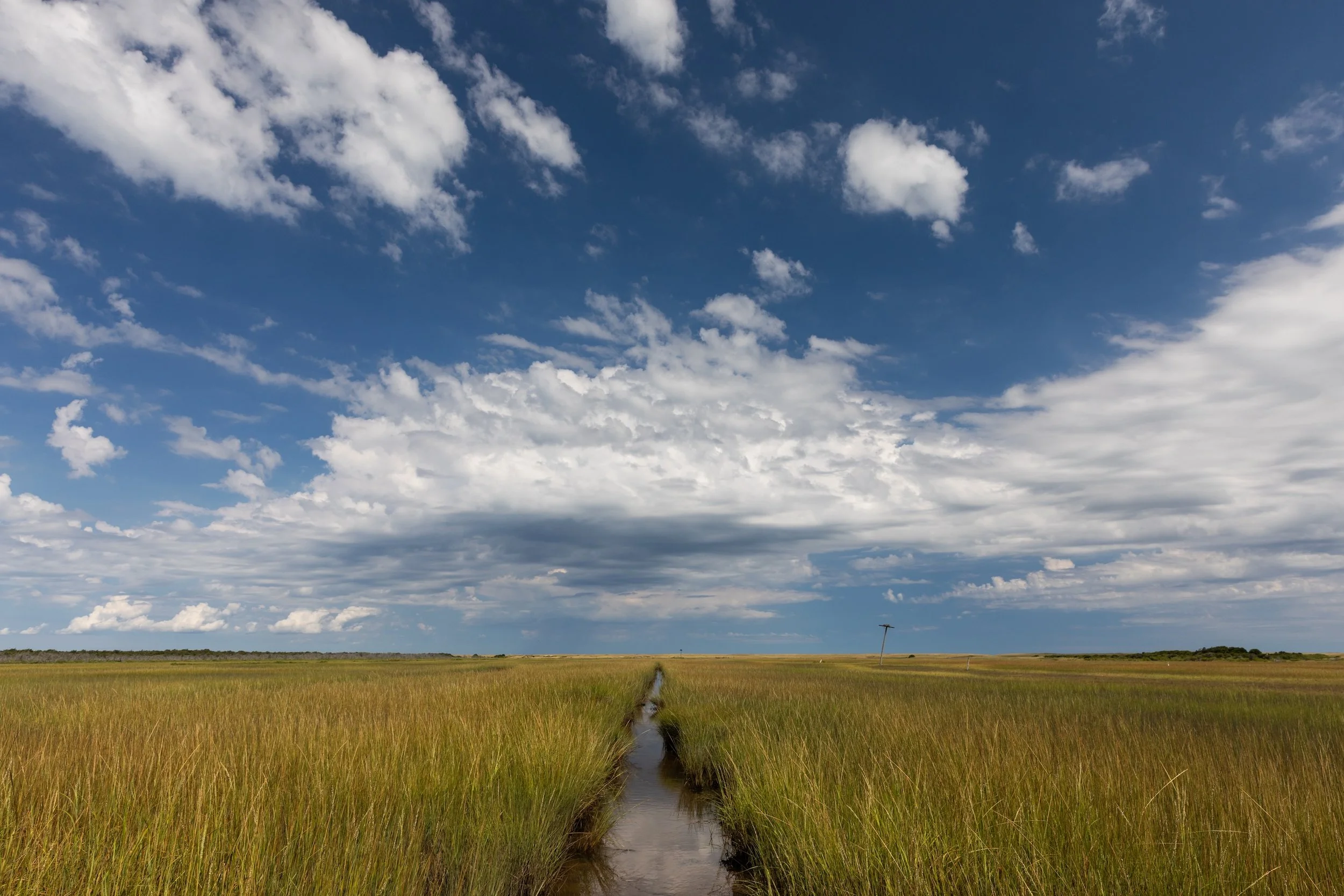 Coskata Creeks