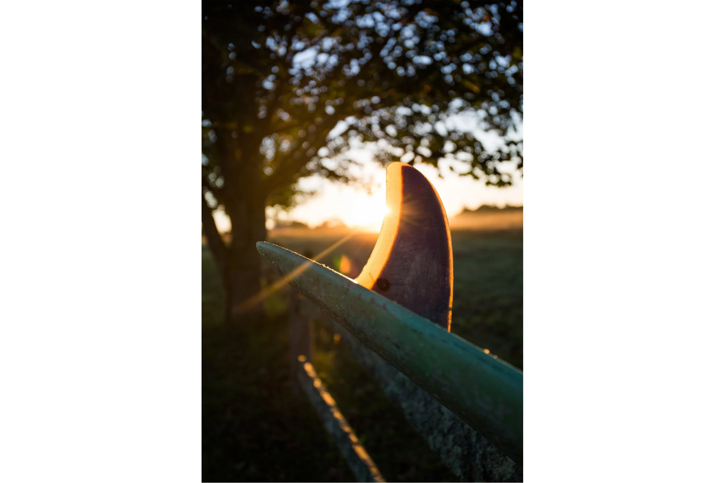 Singlefin Sunrise II