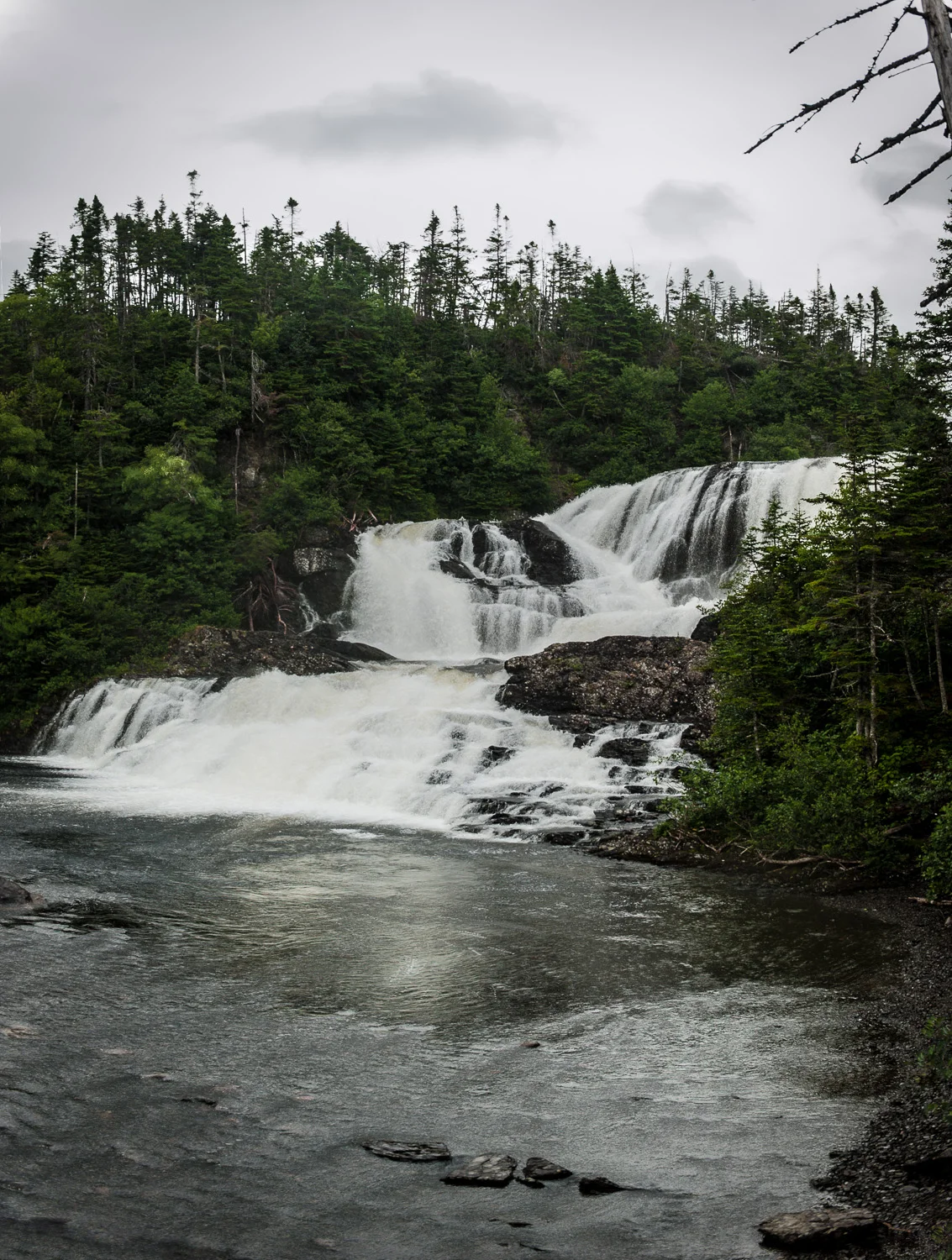 2012-07-25_Newfoundland_39-Edit.jpg