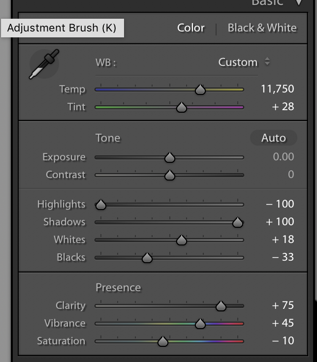 The specific Lightroom settings I used for my global settings.