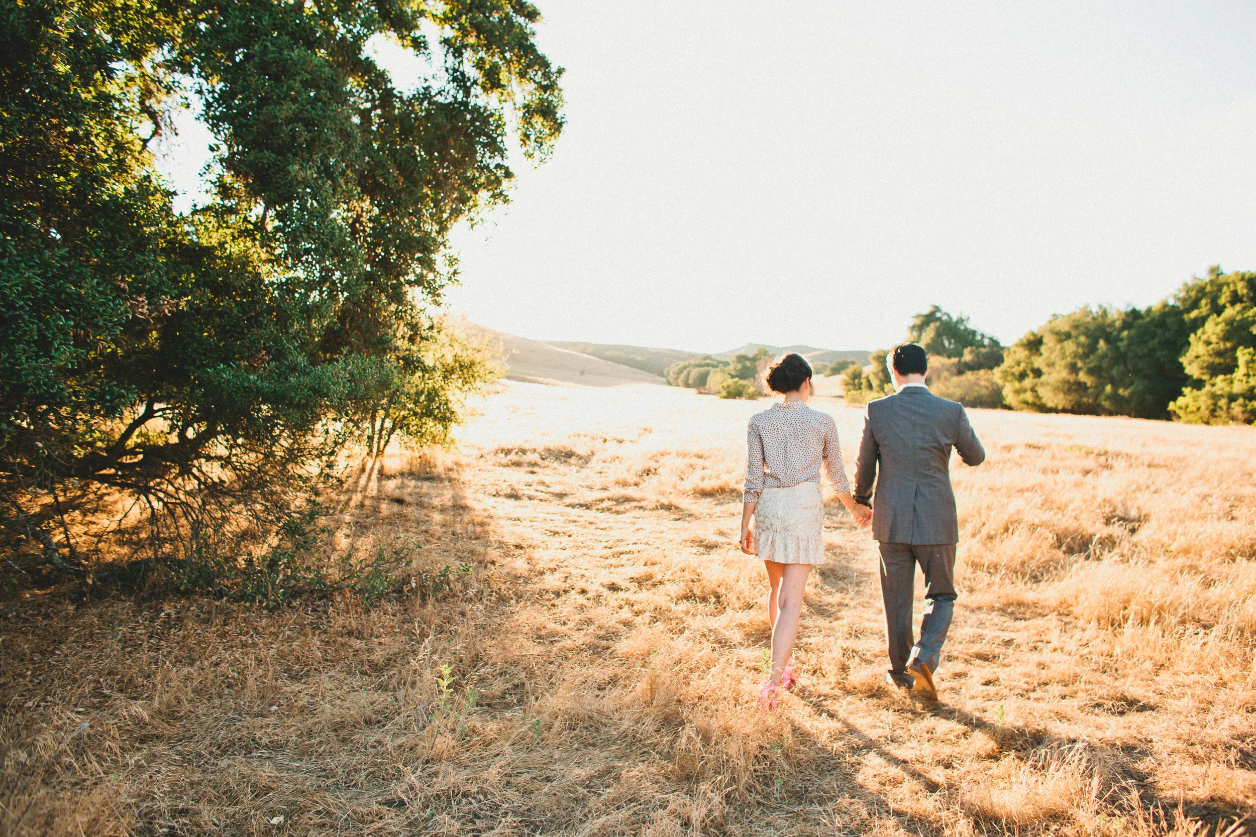 ©markbrooke.com