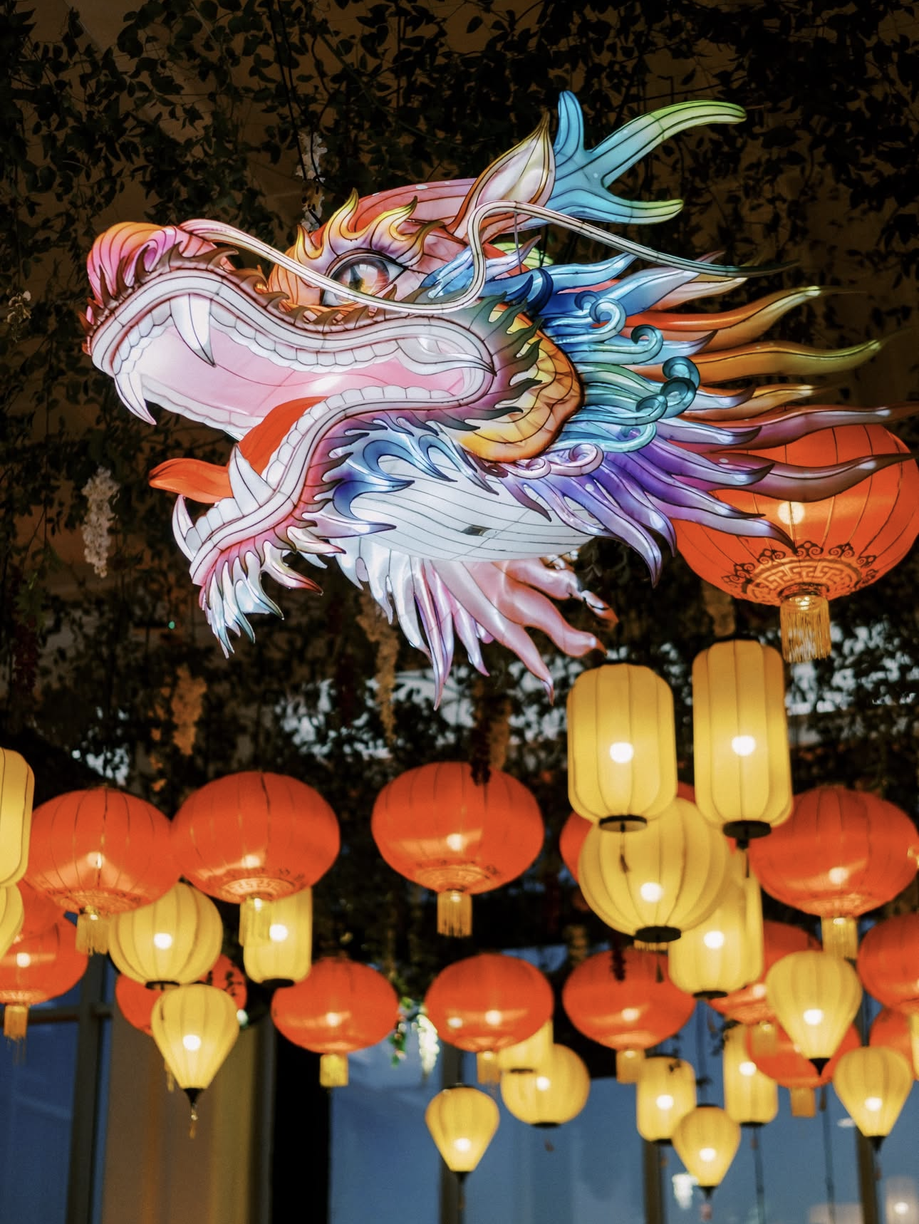 The Show-Stopping Custom Dragon Lantern Installation.png