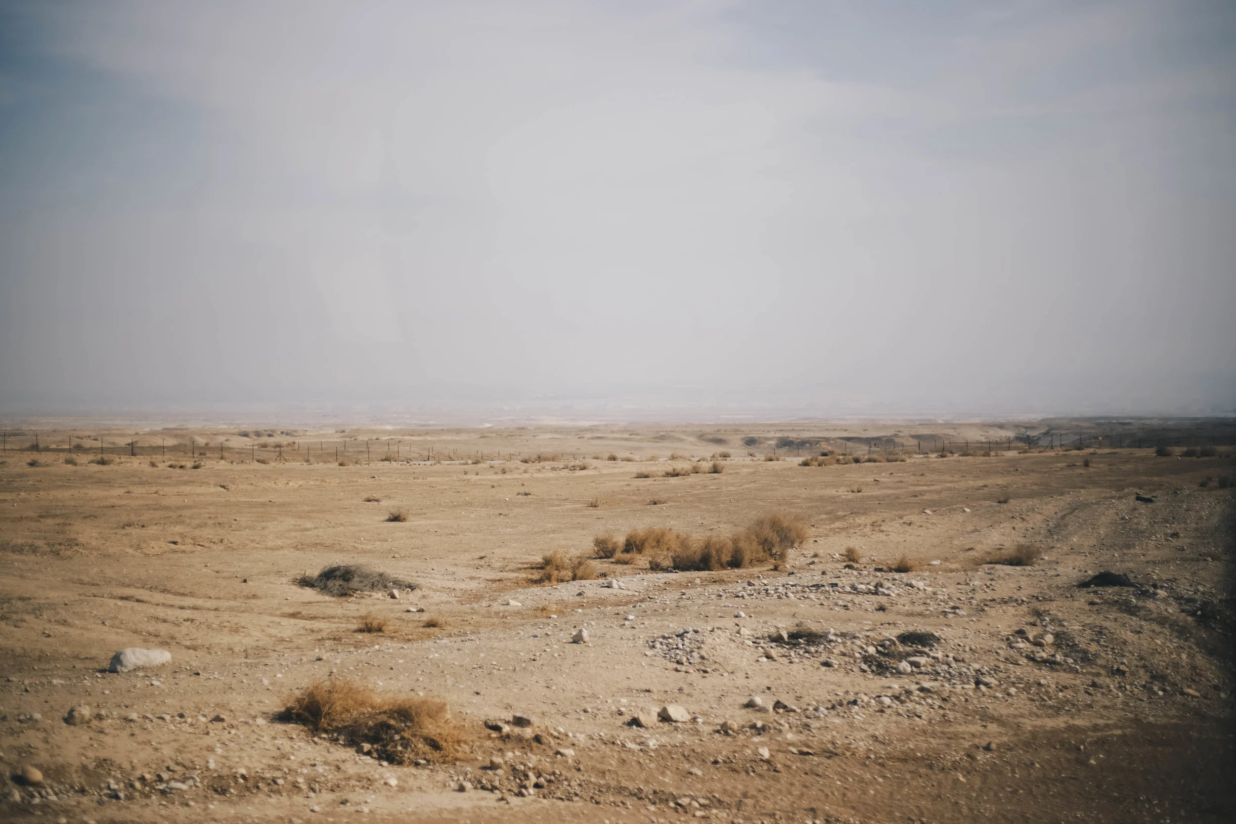 God Makes Gardens in the Desert