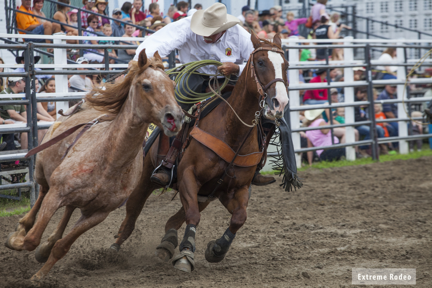 RussellRodeo2.jpg