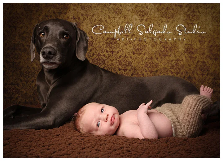 Portrait of baby and dog on vintage amber background in Portland, Oregon at Campbell Salgado Studio.