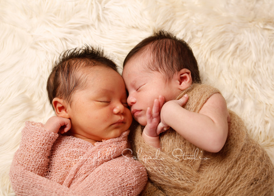  Portrait of twin newborns on alpaca background by newborn photographers at Campbell Salgado Studio in Portland, Oregon. 