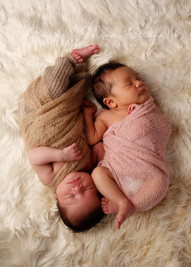  Portrait of twin newborns on alpaca background by newborn photographers at Campbell Salgado Studio in Portland, Oregon. 