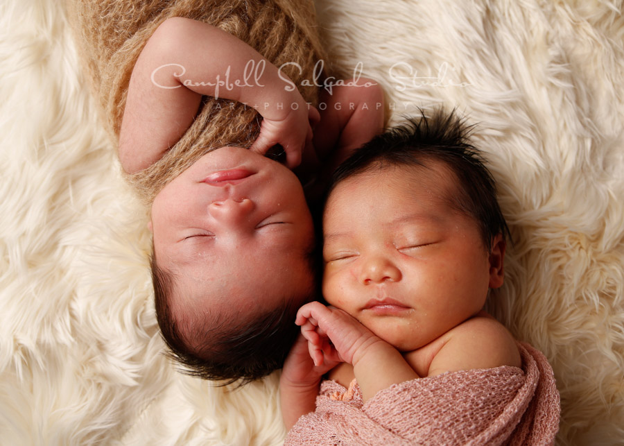  Portrait of twin newborns on alpaca background by newborn photographers at Campbell Salgado Studio in Portland, Oregon. 