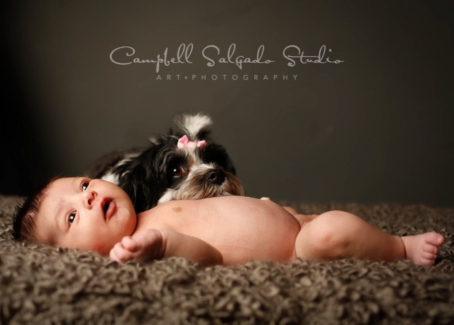  Portrait of infant on gray background by newborn photographers at Campbell Salgado Studio in Portland, Oregon. 