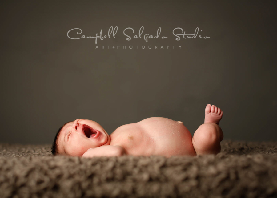  Portrait of infant on gray background by newborn photographers at Campbell Salgado Studio in Portland, Oregon. 