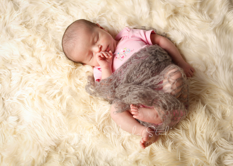  Portrait of newborn on alpaca background by newborn photographers at Campbell Salgado Studio in Portland, Oregon. 