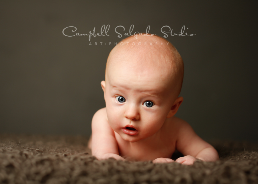  Portrait of baby on gray background by family photographers at Campbell Salgado Studio in Portland, Oregon. 