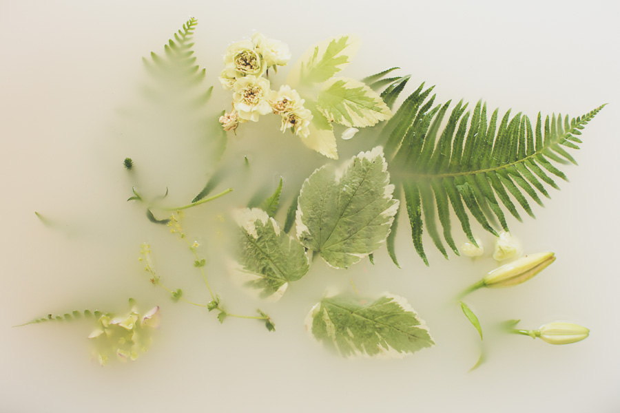 campbell-salgado-studio_milk-bath-photography-flowers_green1650.jpg