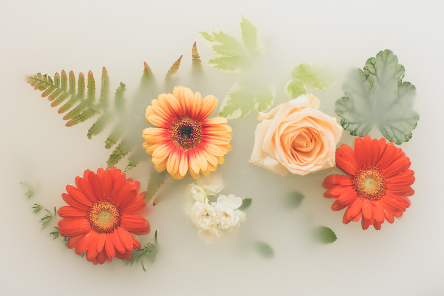 campbell-salgado-studio_milk-bath-photography-flowers_orange1639.jpg