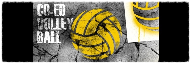 coed volleyball clipart black