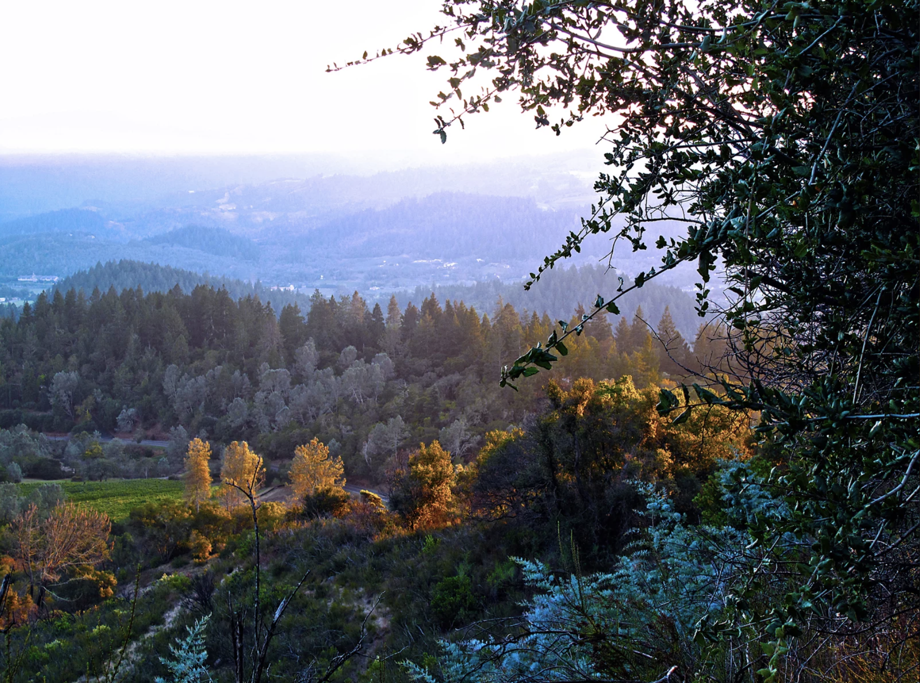 Napa Valley, CA