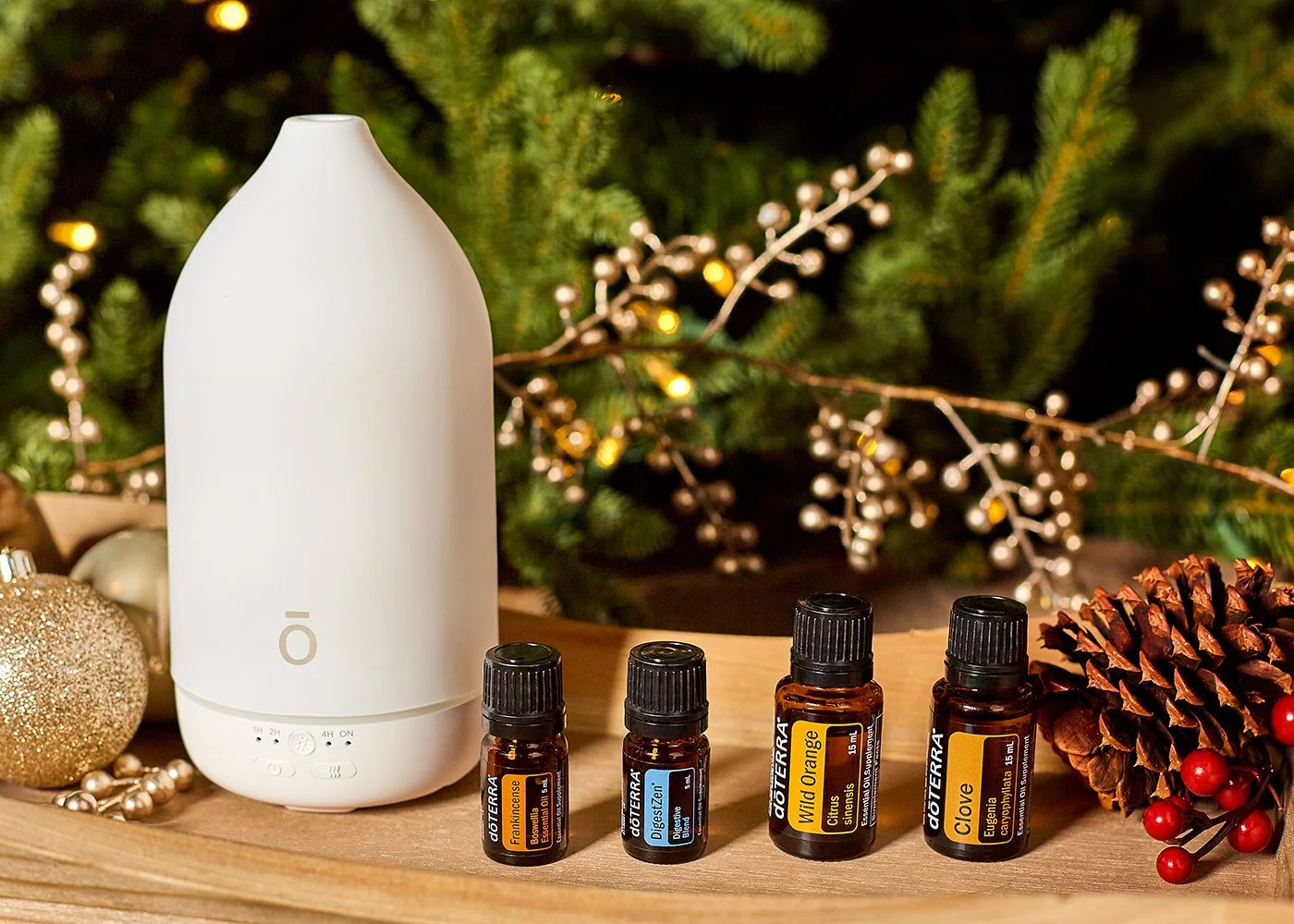doTerra_Holiday_3.jpg