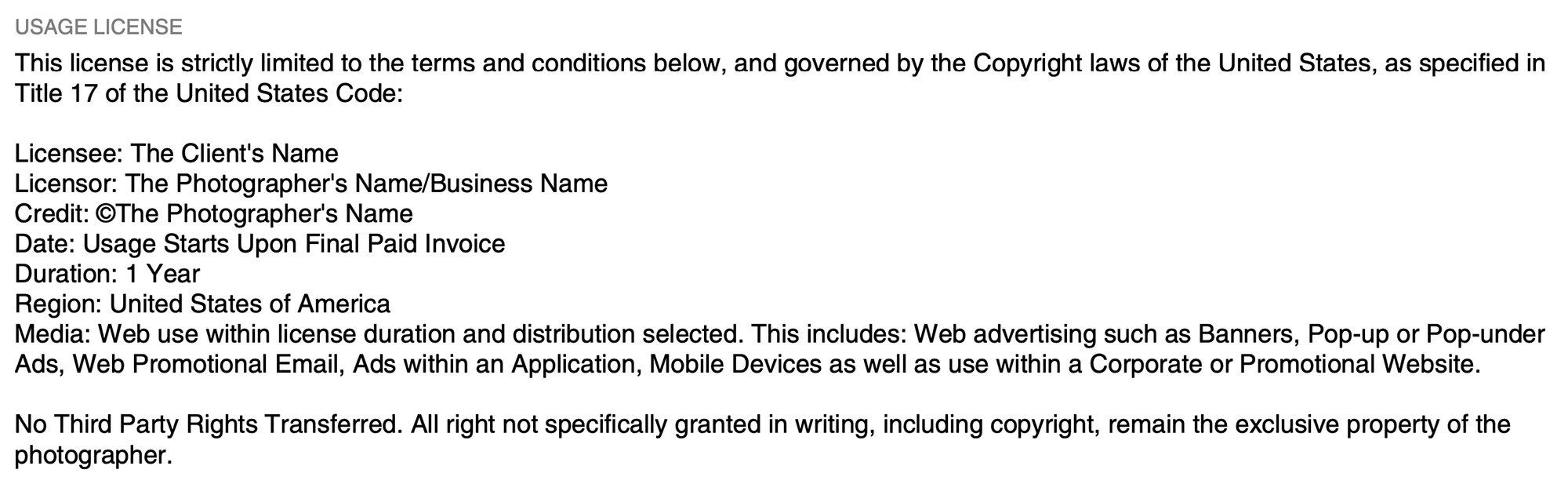 What is a Usage License? A Client's Guide to Licensing Commercial