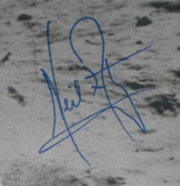 Spanish forgery, 2011