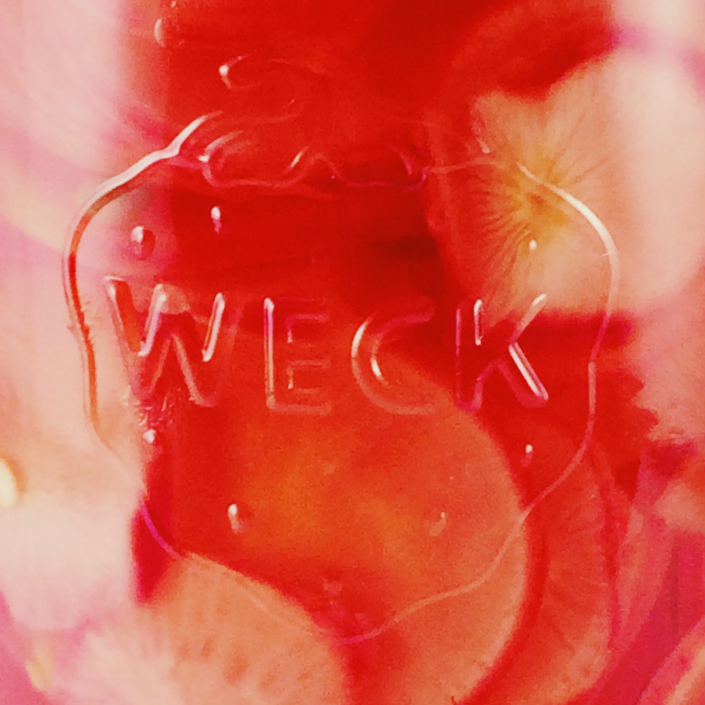 pickled radishes in weck jar.jpeg