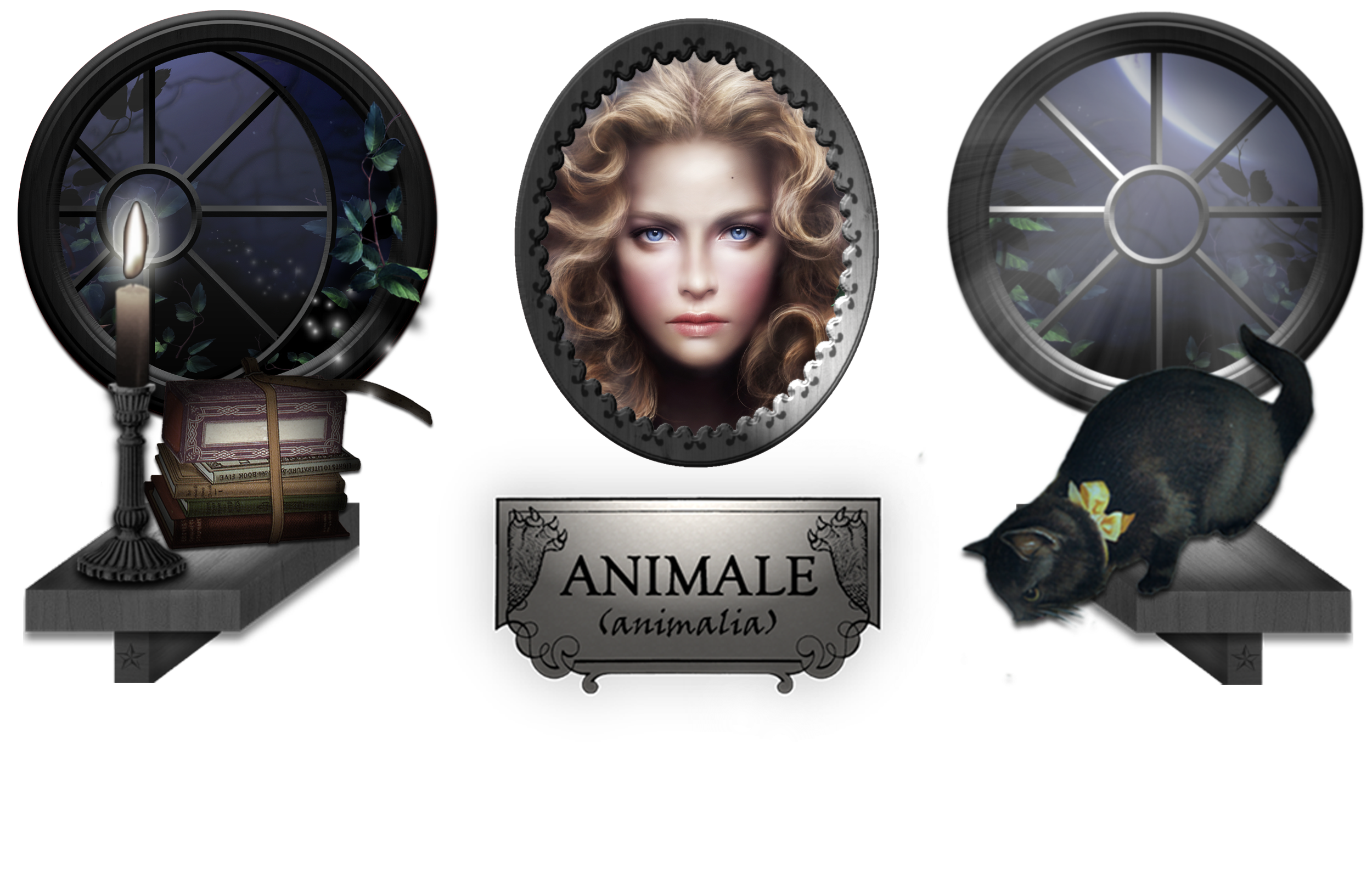 FOND ANIMALE LUCARNES.png