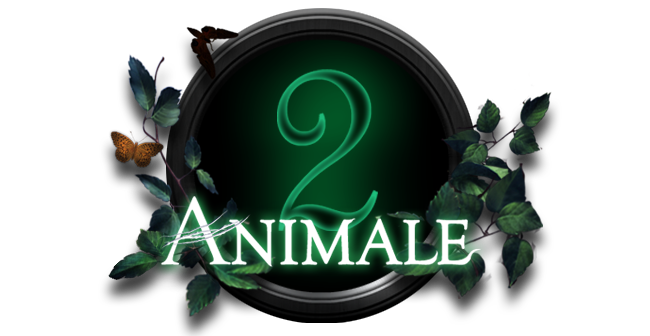 ANIMALE 2.png