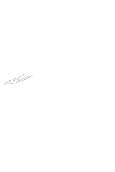 série ANIMALE.png