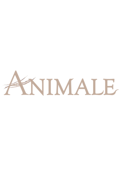 s%C3%A9rie+ANIMALE.png