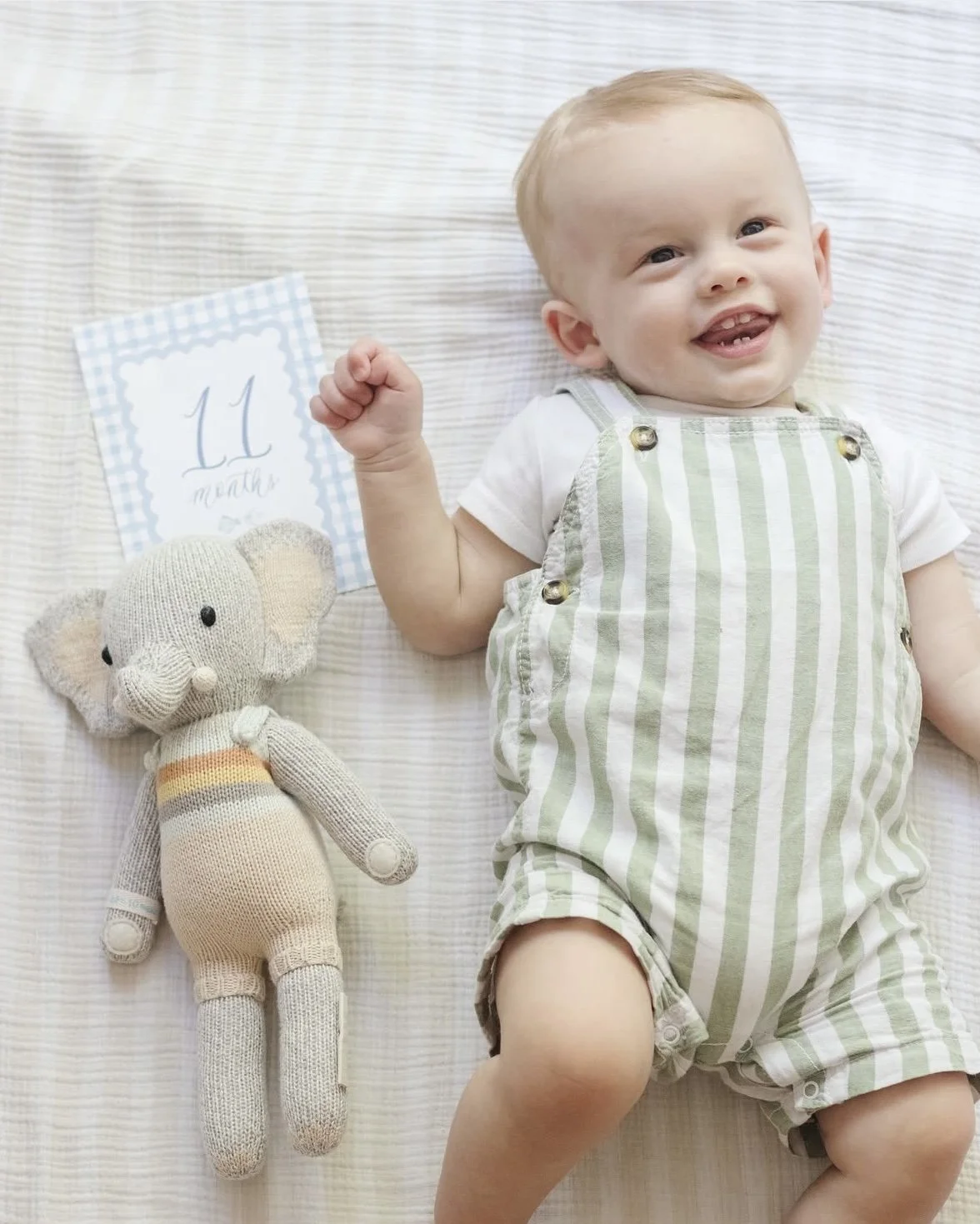 PRE-ORDER Blue Gingham Watercolor Baby Milestone Cards — Simply Jessica ...