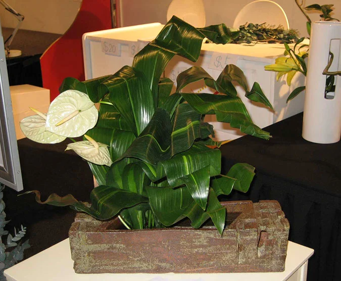 Materials : Flowers, leaves