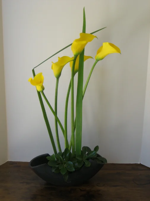Material - flowers, leaves