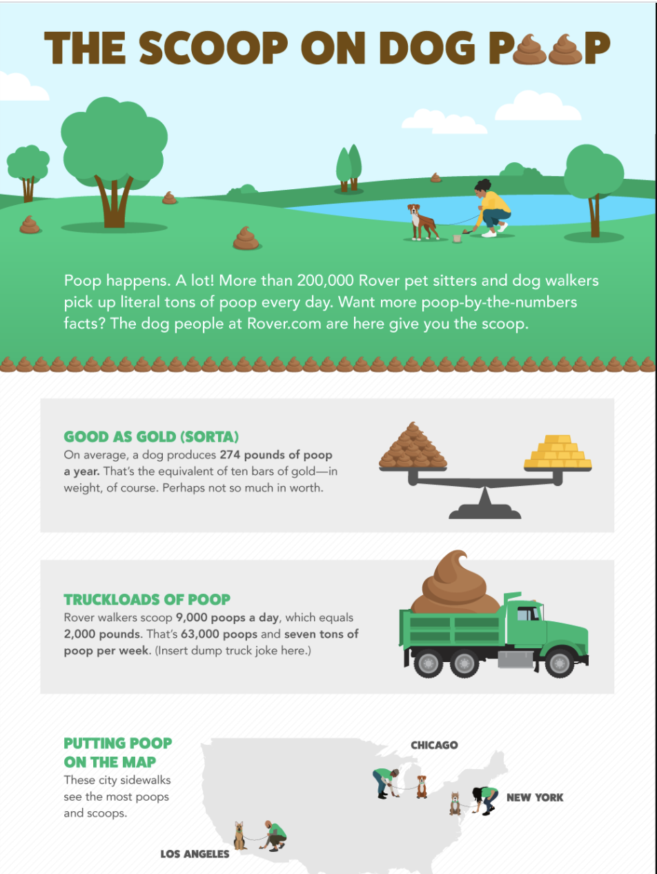 Rover.com | writing for infographic