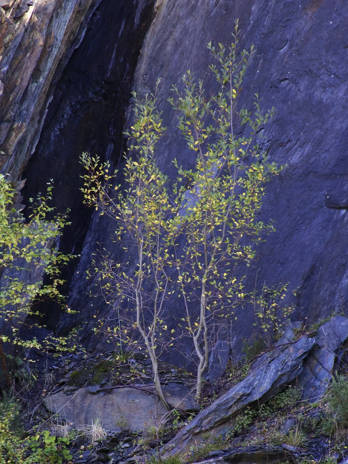 Ballachulish Slate Quarry 1