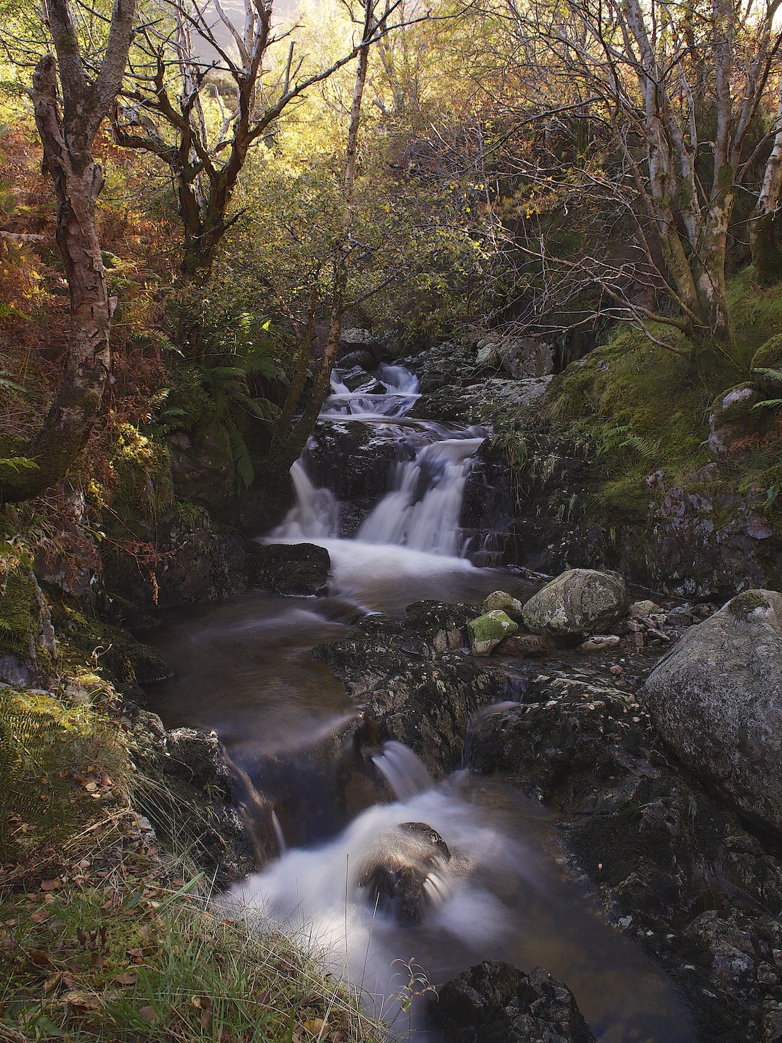 Looking up the burn to the pathless bogland