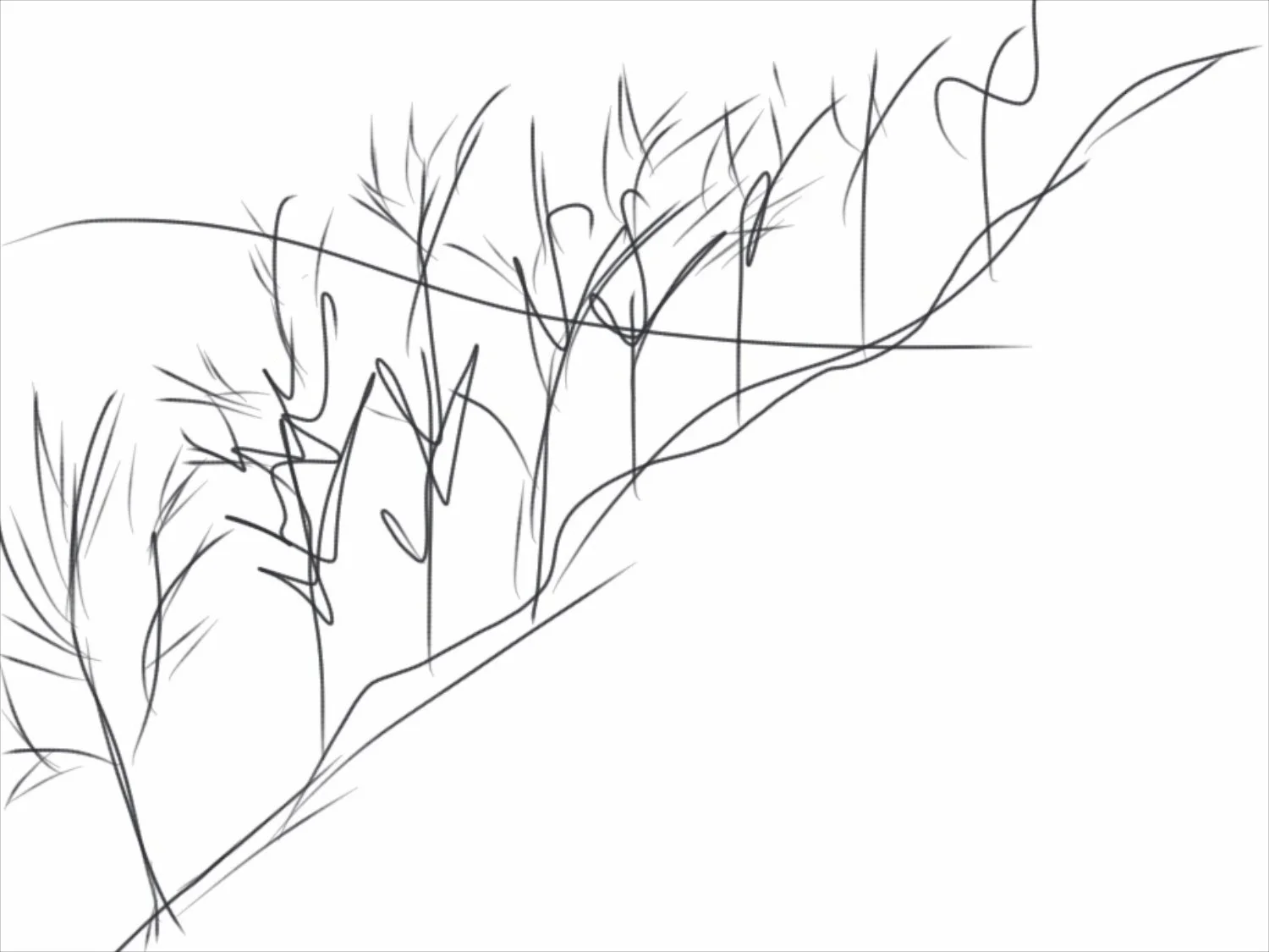 Original sketch