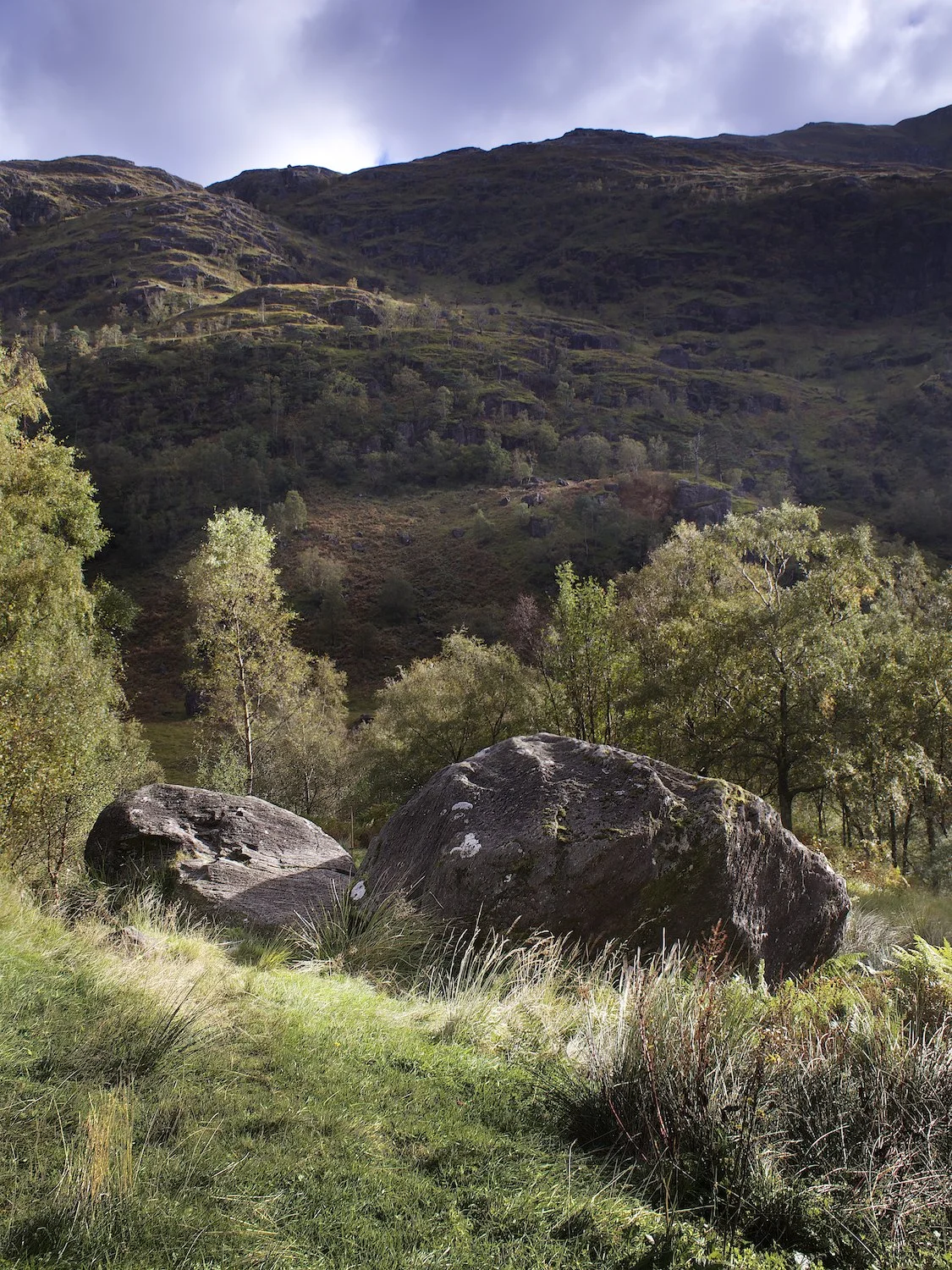 Across the glen