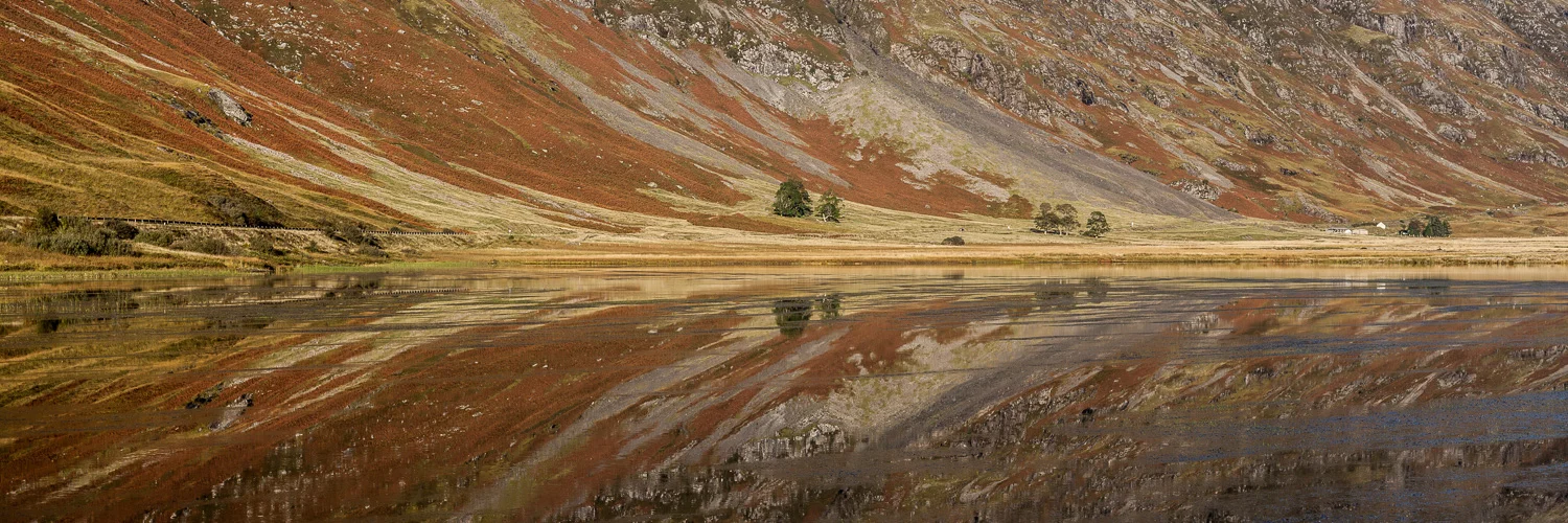 Reflections