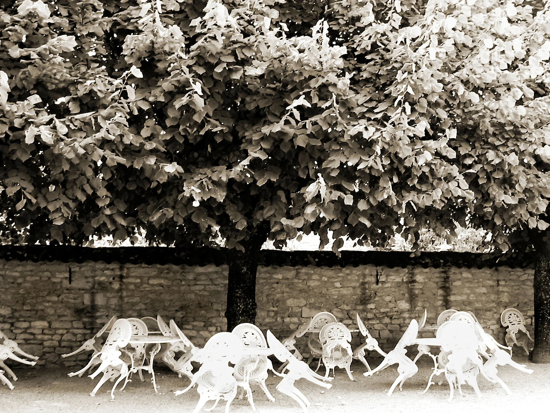 CHAIRS.jpg