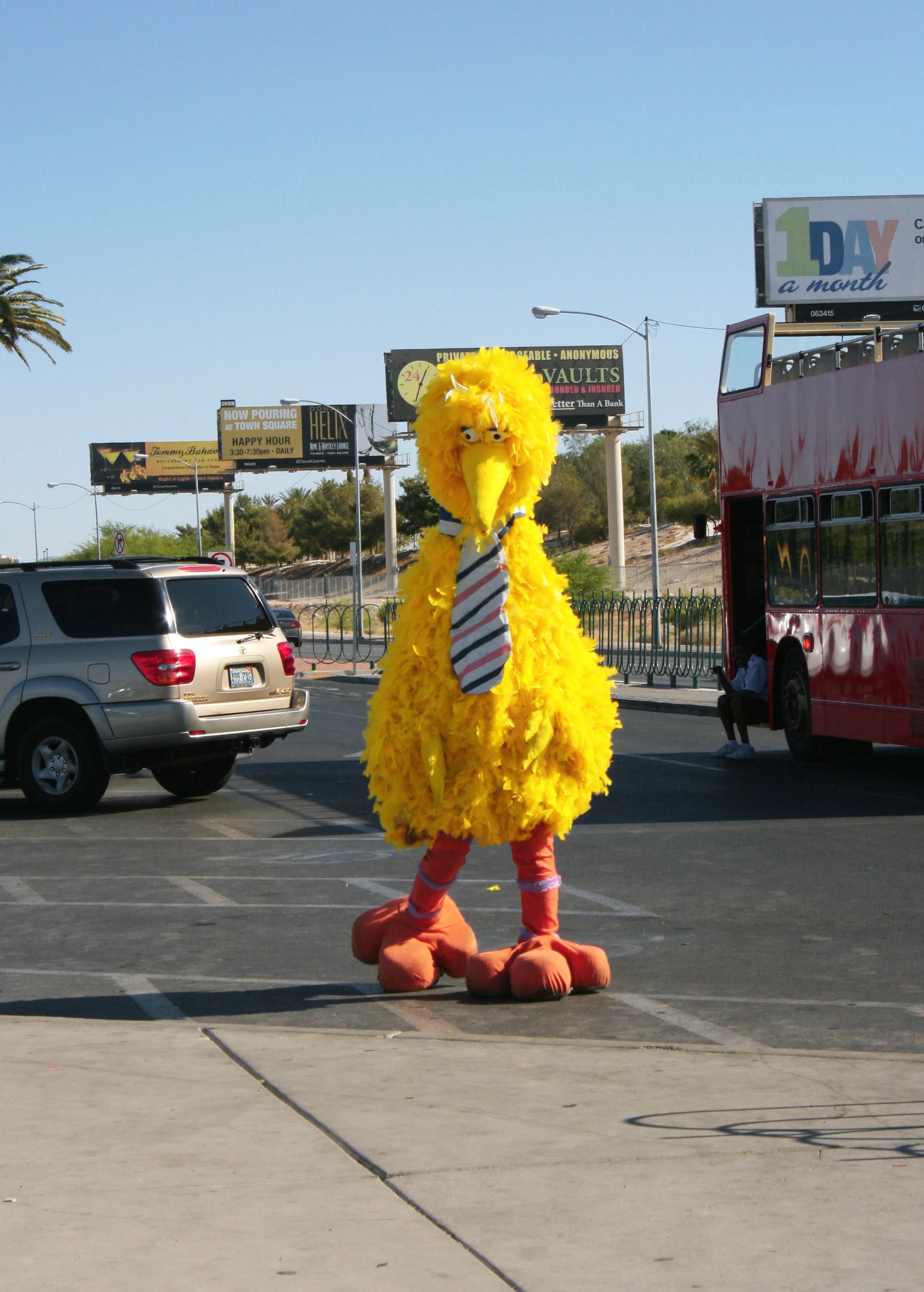 big bird.jpg