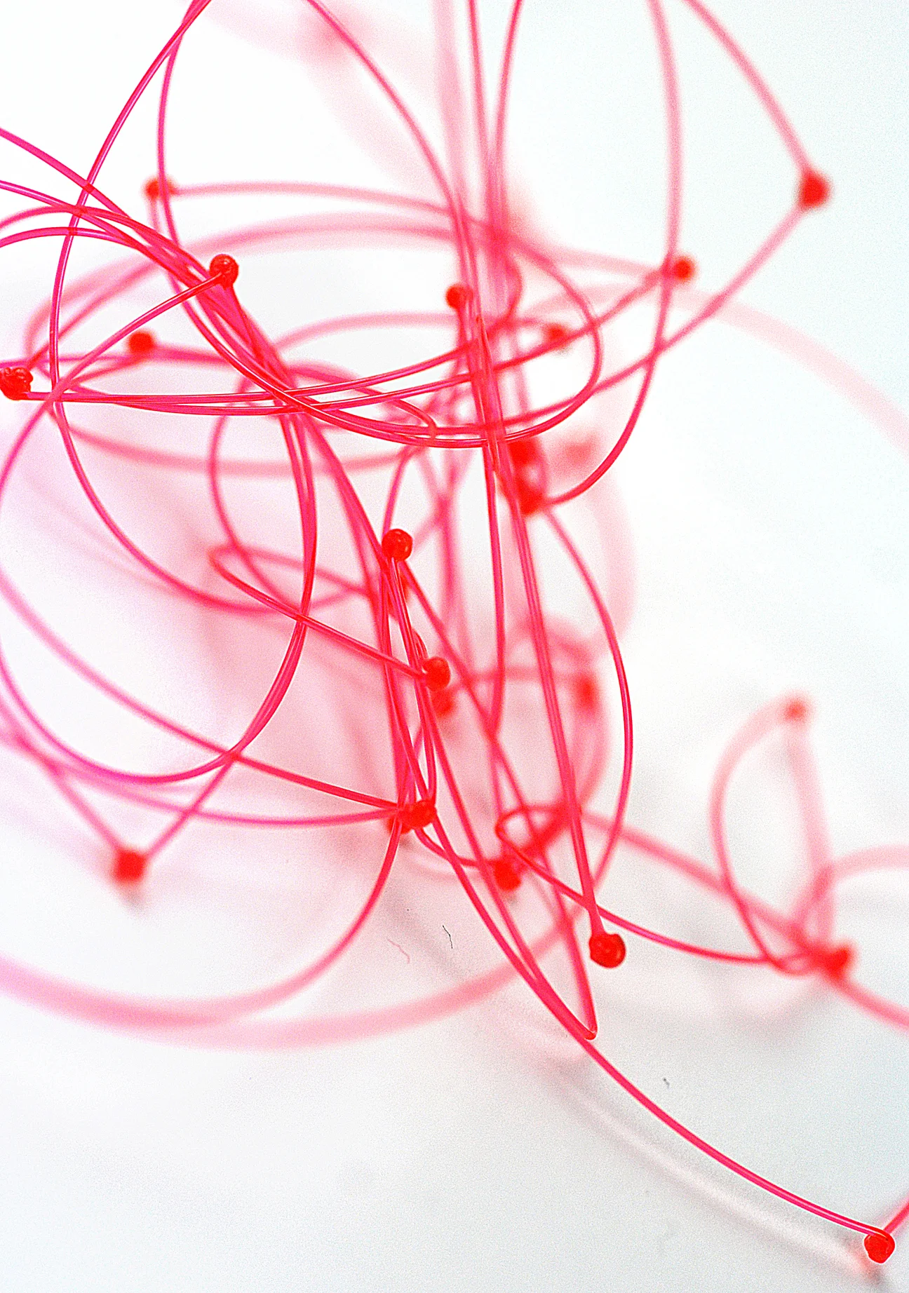 test_20m.jpg