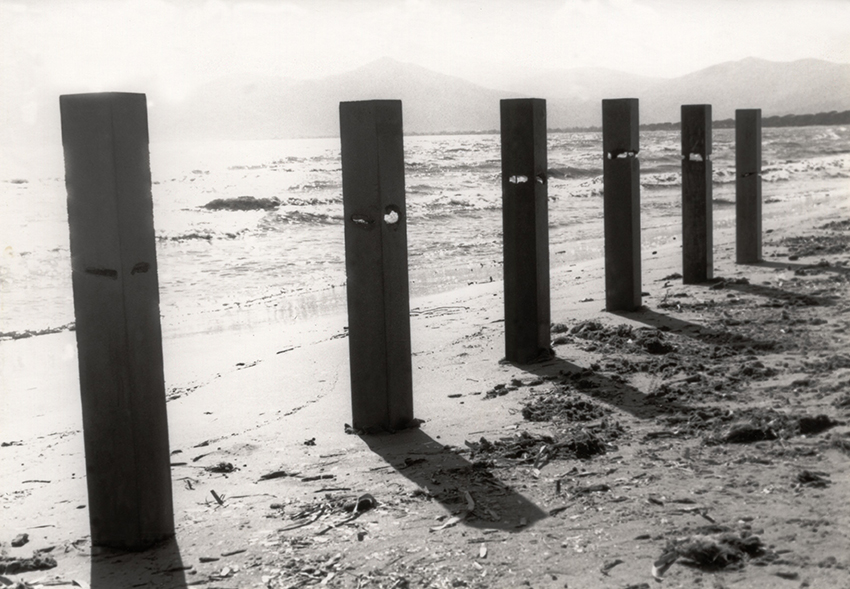 columns on the beach - cement
