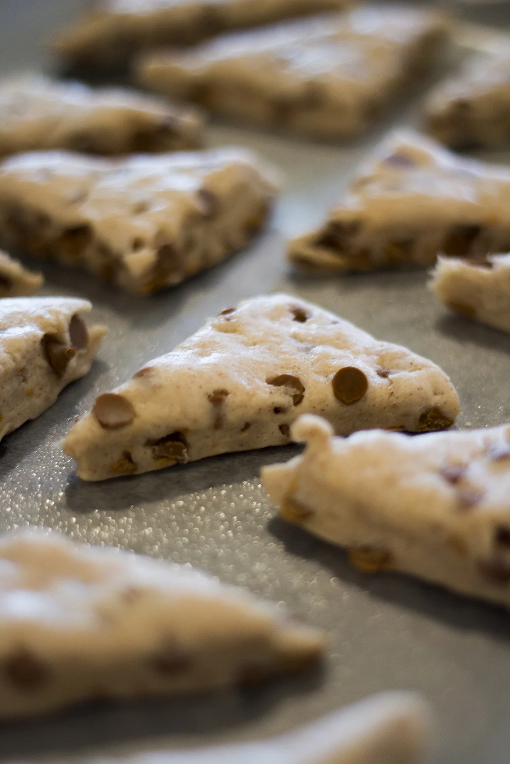 pre_oven.jpg