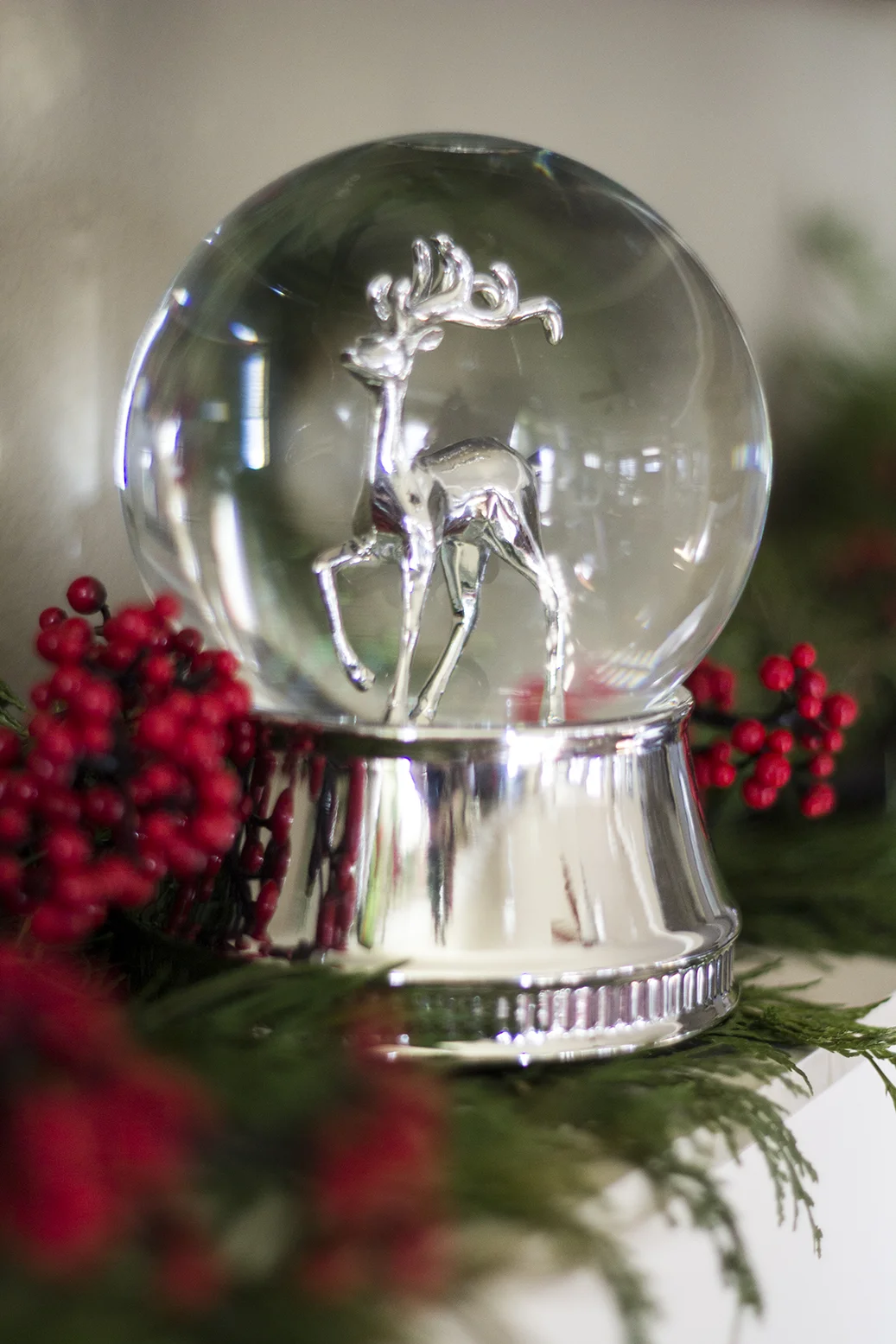 snowglobe2.jpg