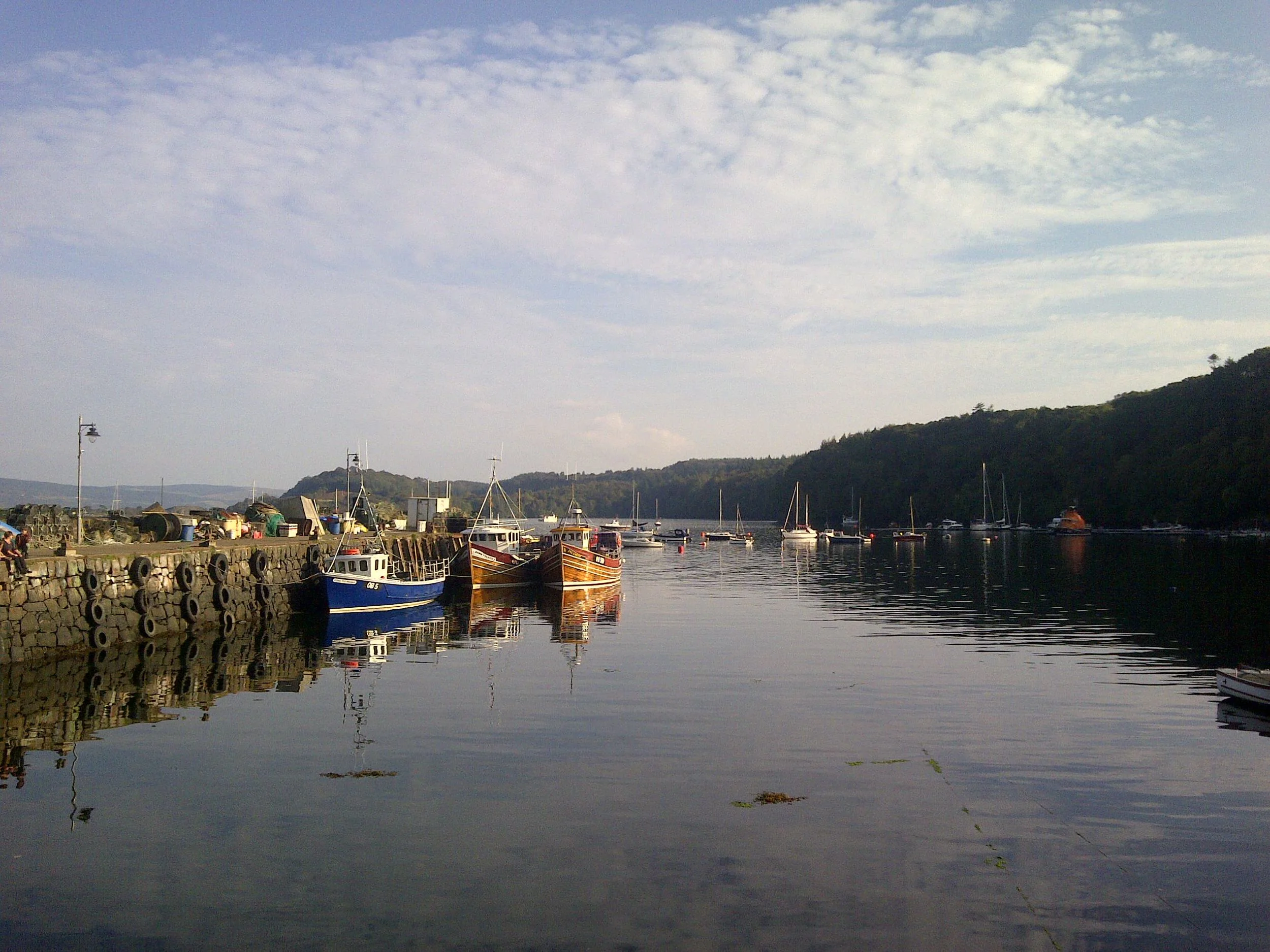IMG-20130928-00291.jpg