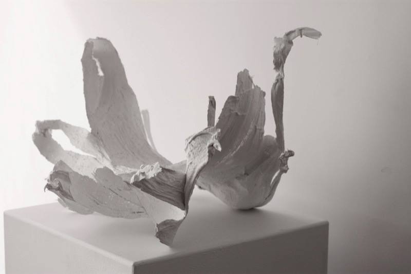 Alyssa Rapp, Boneflowe r , 2013; Plaster, gauze, and vaseline; 17 x 15 x 26 inches