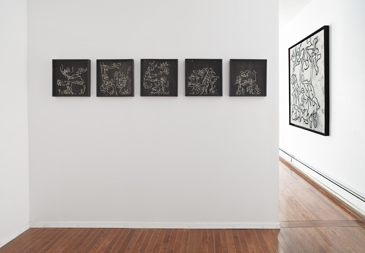  Installation view: Graham Wilson,&nbsp; Remnants of Arcadia,&nbsp; Peninsula Art Space, Brooklyn, NY, 2013 