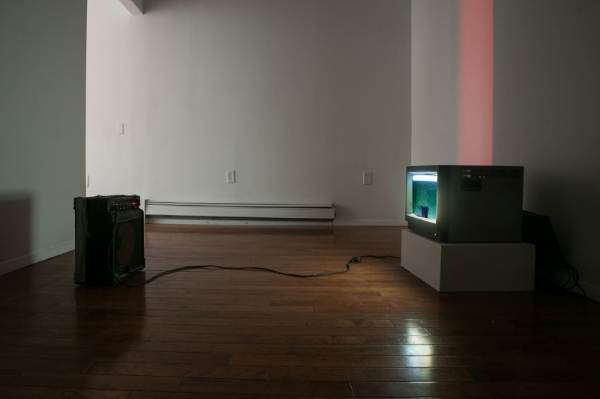  Samuel Payne  Dragging the Periphery (Displacement = Value): Montana, Wyoming, New York, Wisconsin, South Dakota, Idaho  2014 Video; Plastic, bolt, wood, amplifier, TV, cables Video: 6 minute loop; Installation: 16 x 19 x 16 inches Video: Edition of