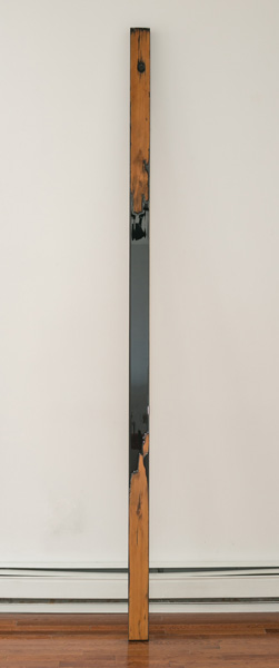  Guy Nelson  Demarcation Line  2012 Resin, reclaimed wood 96 x 3.75 x 1.75 inches   