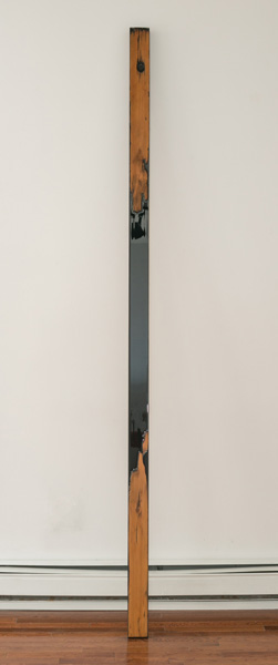 Guy Nelson Demarcation Line 2012 Resin, reclaimed wood 96 x 3.75 x 1.75 inches